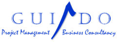 Guiado | Project Management & Business Consultancy